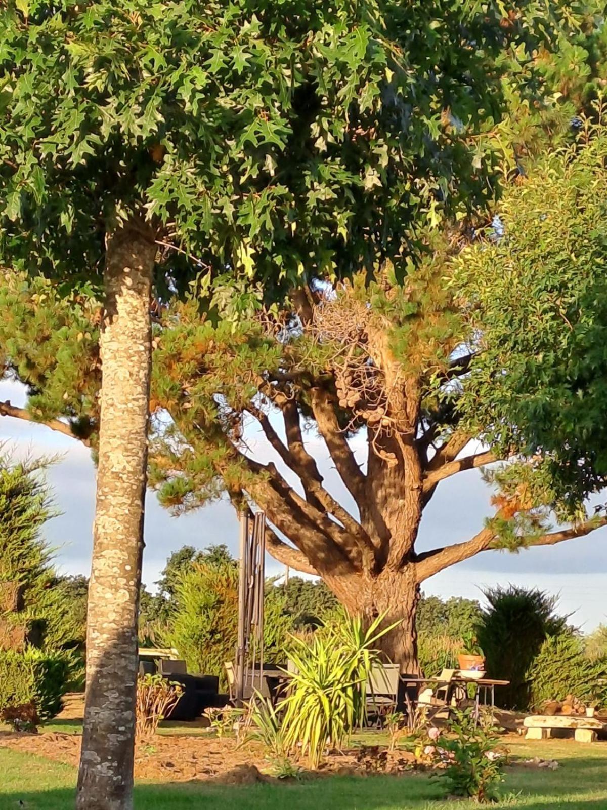 Gite En Campagne Lamegritniere Exterior photo
