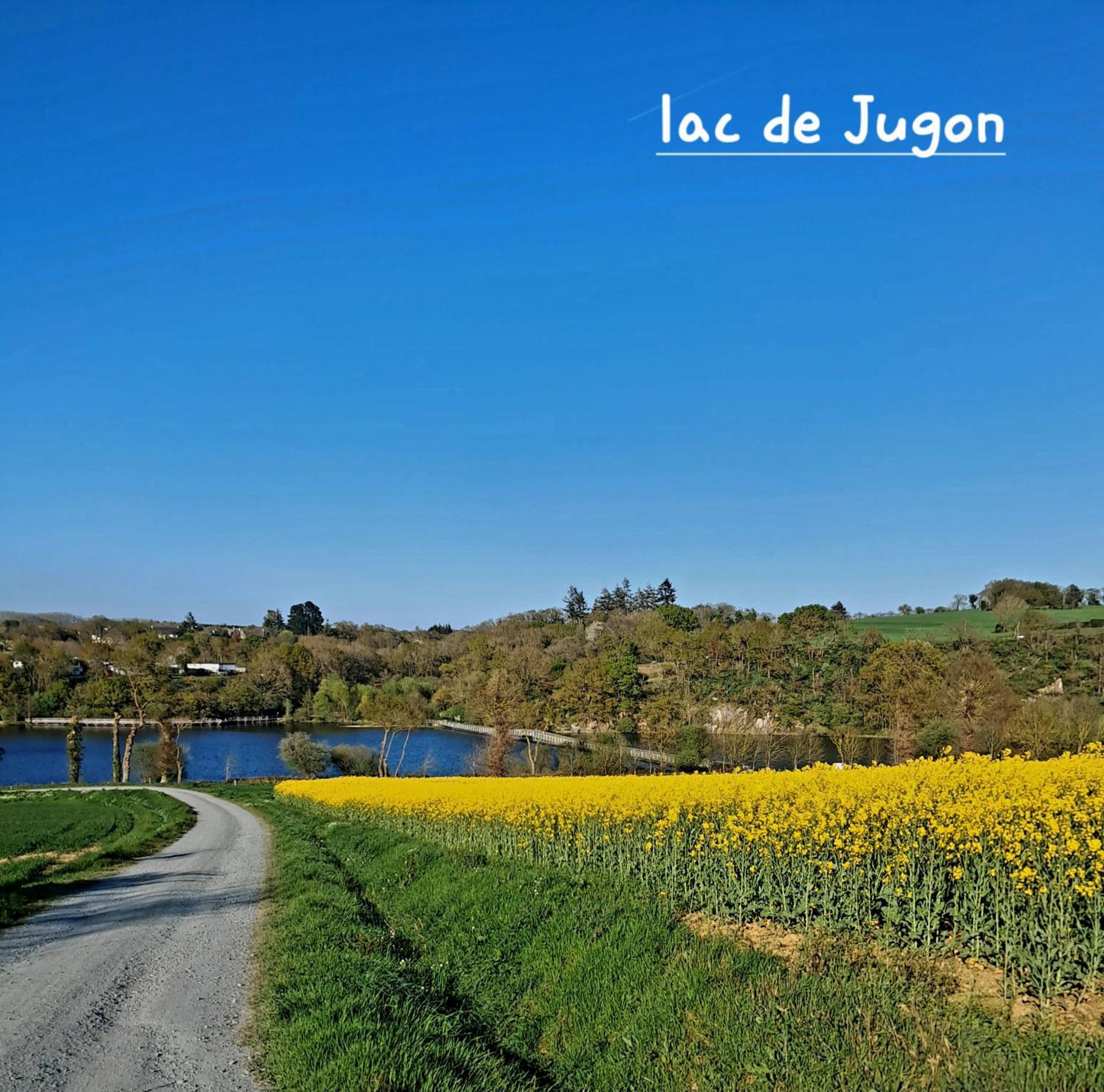 Gite En Campagne Lamegritniere Exterior photo